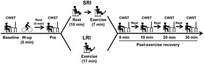 Impact of Inter-Set Short Rest Interval Length on Inhibitory Control Improvements Following Low-Intensity Resistance Exercise in Healthy Young Males